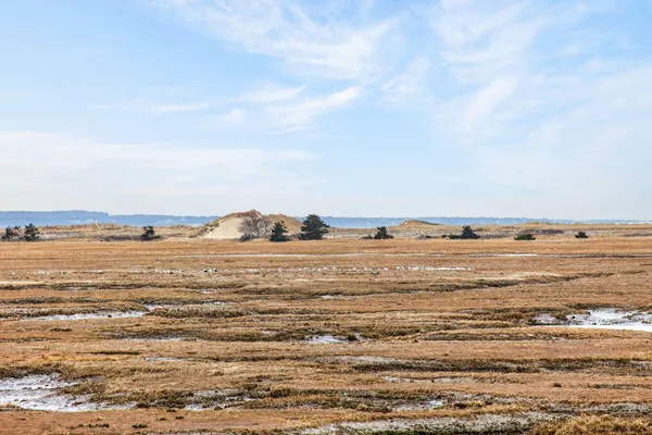 $1,495,000 | 655 Herring Brook Road, Eastham, MA 02642