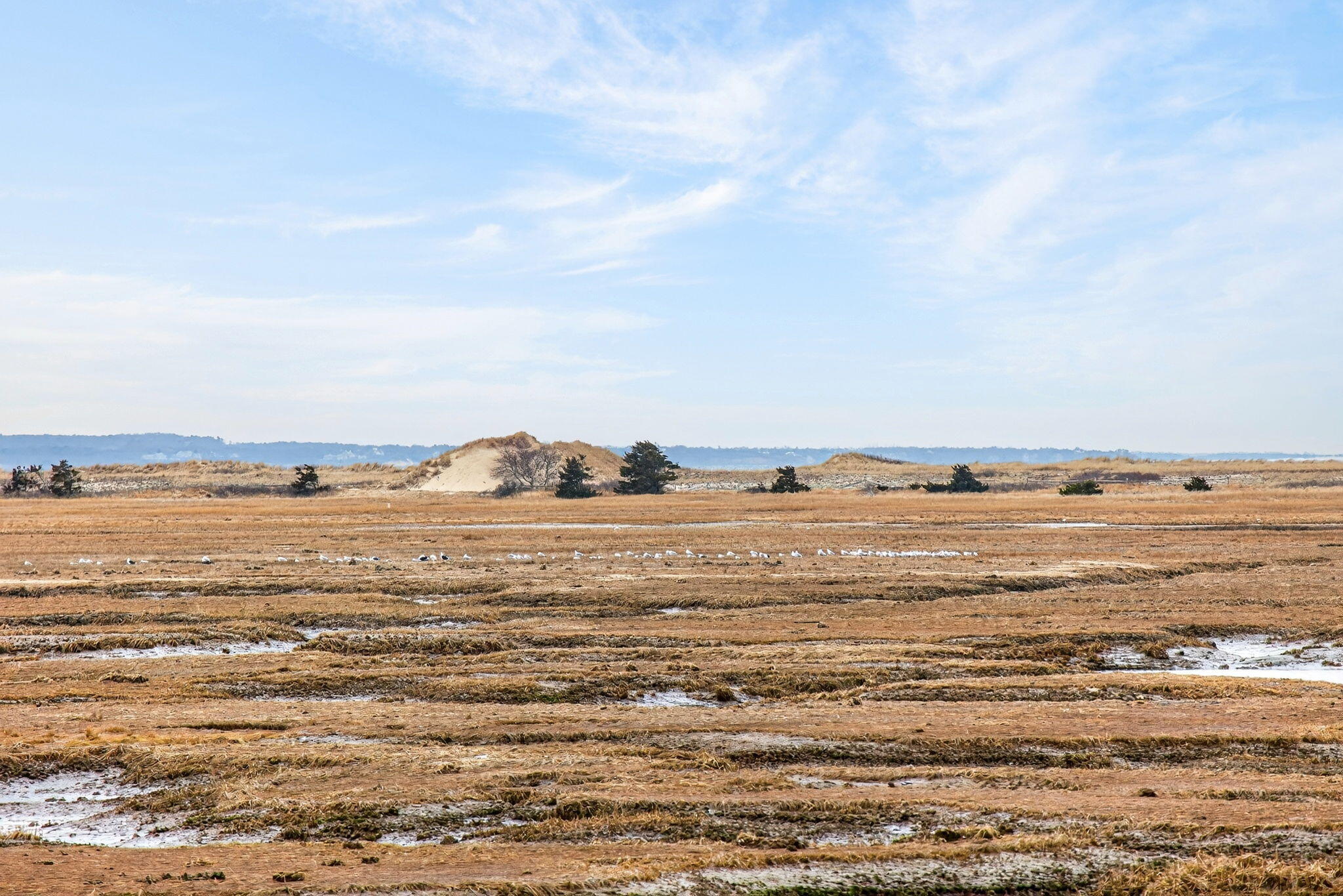 655 Herring Brook Road Eastham, MA 02642 - Photo 46 of 63 Marshfront