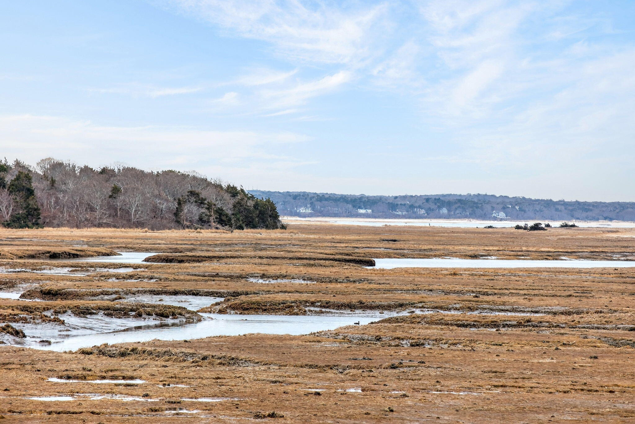 655 Herring Brook Road Eastham, MA 02642 - Photo 59 of 63 Marshfront