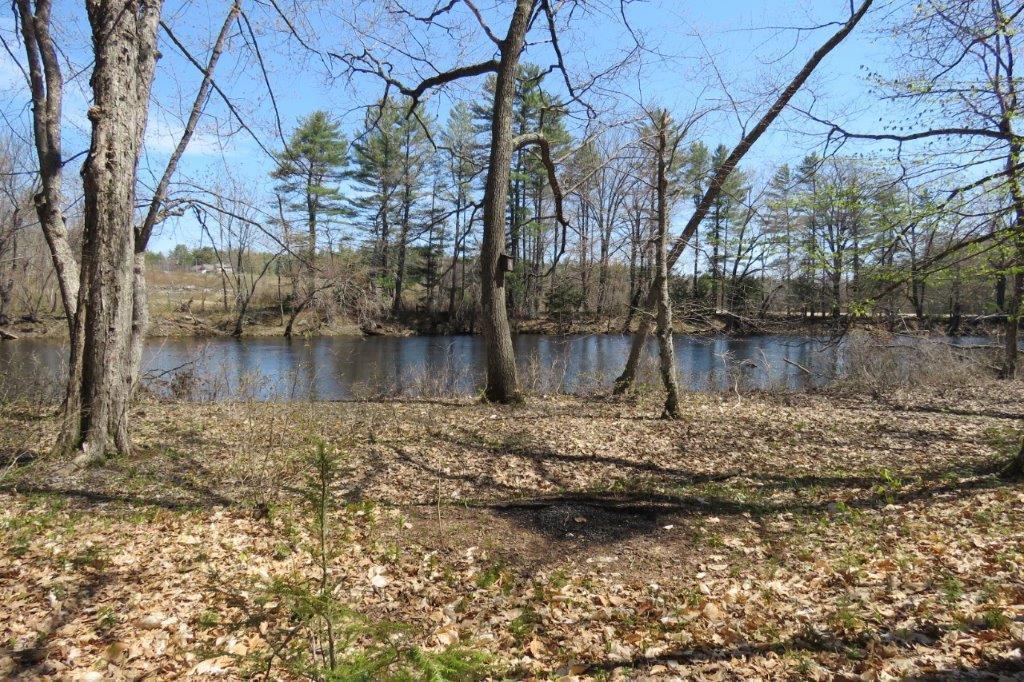 0 Old River Road Fryeburg, ME 04037 - Photo 14 of 15 IMG_5110