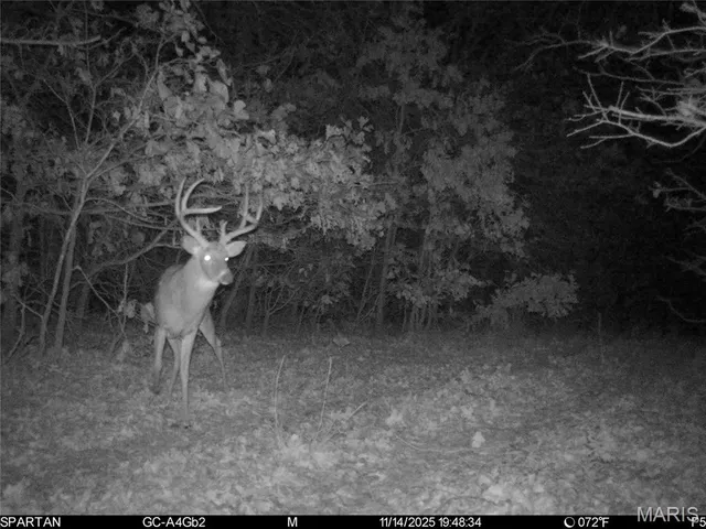 $161,535 | 14 Range Lane, Richland, MO 65556