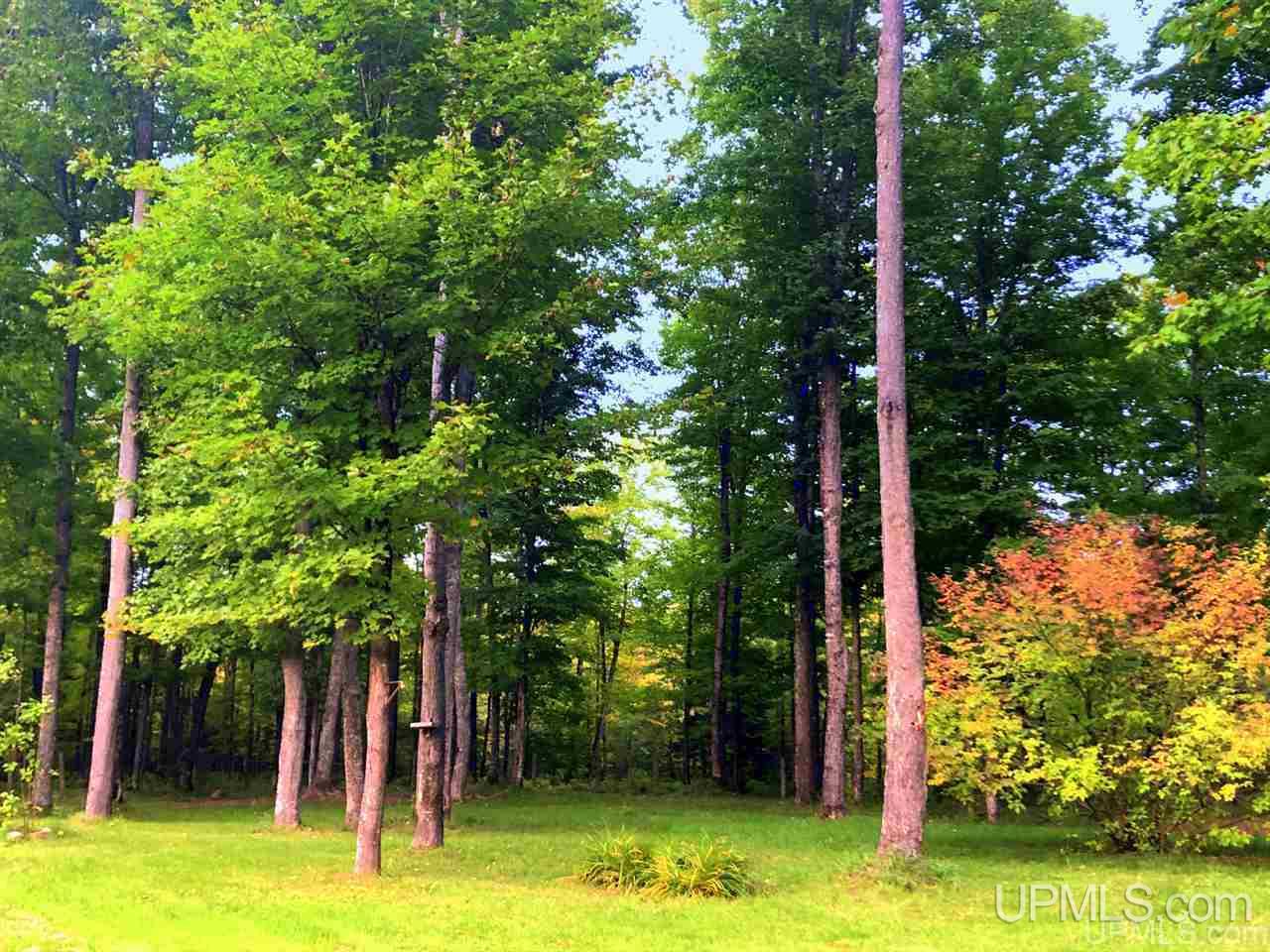 2018 North Whitefish Road Trenary, MI 49891 - Photo 12 of 43 Gallery Image 12