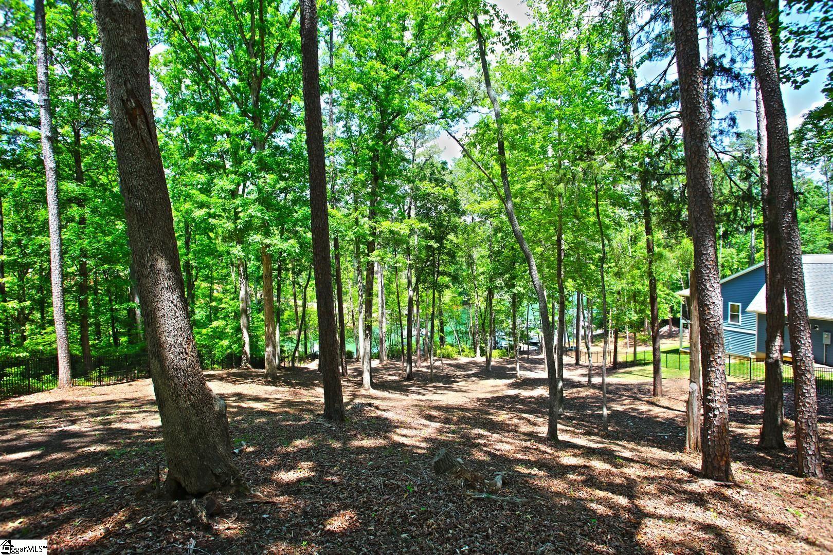 114 Cool Rdg Drive Seneca, SC 29672 - Photo 29 of 46 Gallery Image 29