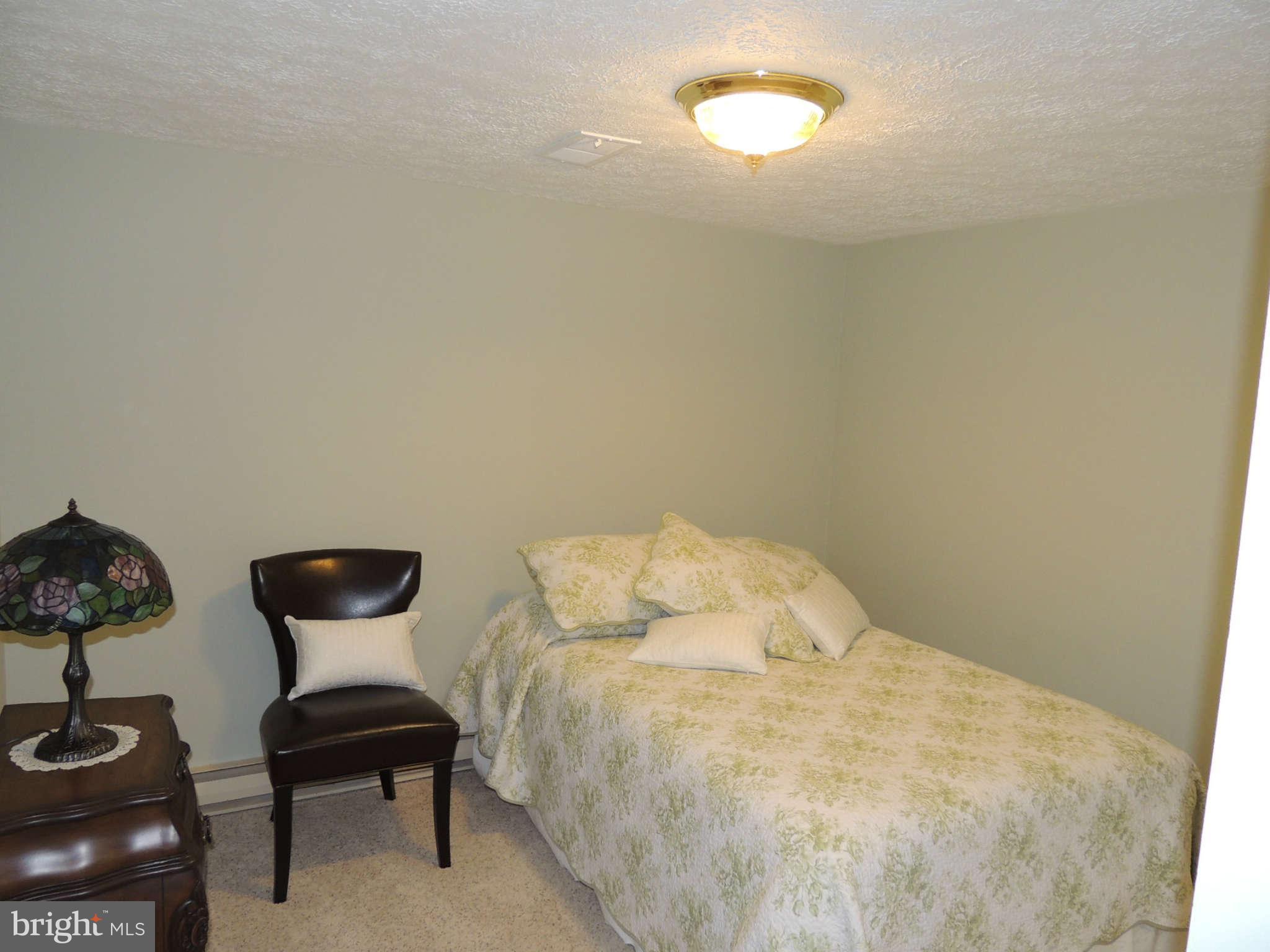 4021 Twin Arch Road Mount Airy, MD 21771 - Photo 14 of 30 Lower Level Den/4th Bedroom