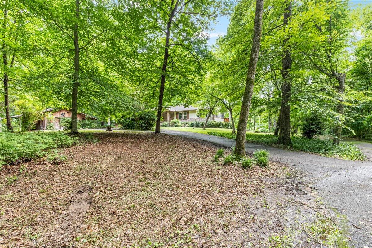 63 Bigham Road Trion, GA 30753 - Photo 4 of 40 31-IMG_9926