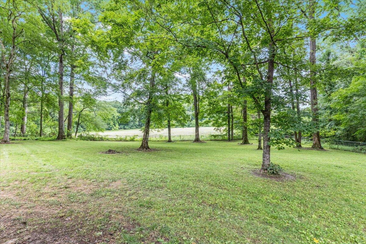 63 Bigham Road Trion, GA 30753 - Photo 10 of 40 37-IMG_9971