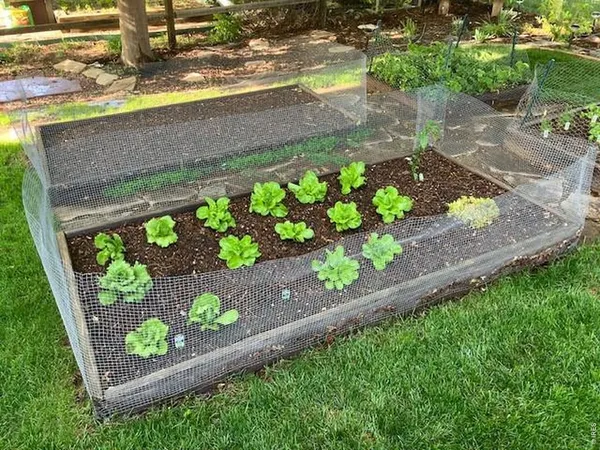 $690,000 | 8106 Northstar Drive, Windsor, CO 80528