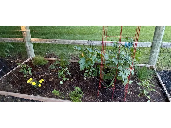 $690,000 | 8106 Northstar Drive, Windsor, CO 80528