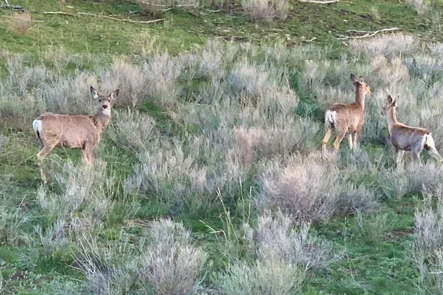a view of a outdoor space