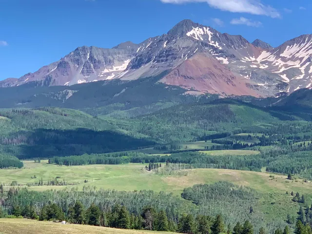 a view of a backyard with green space