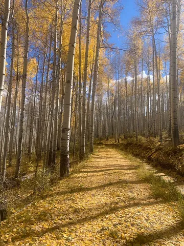 a view of outdoor space and parking space
