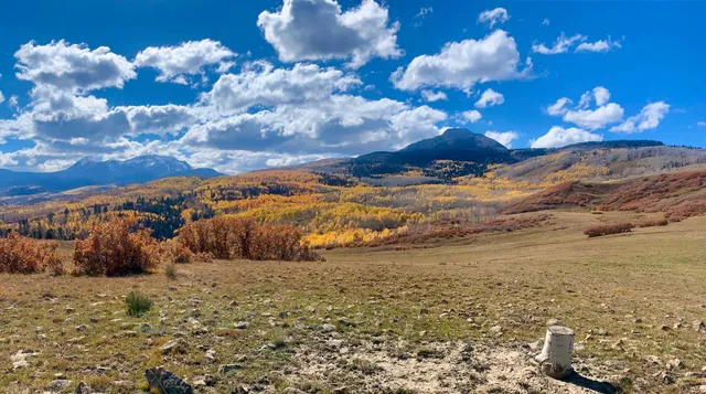 a view of a yard with an outdoor space