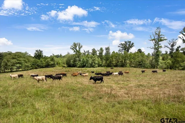 a view of a big yard with table and chairs