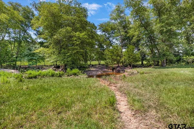 a view of yard with green space