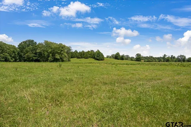 a view of a field with an tree in back