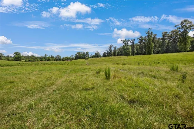 a view of a big yard with lots of green space