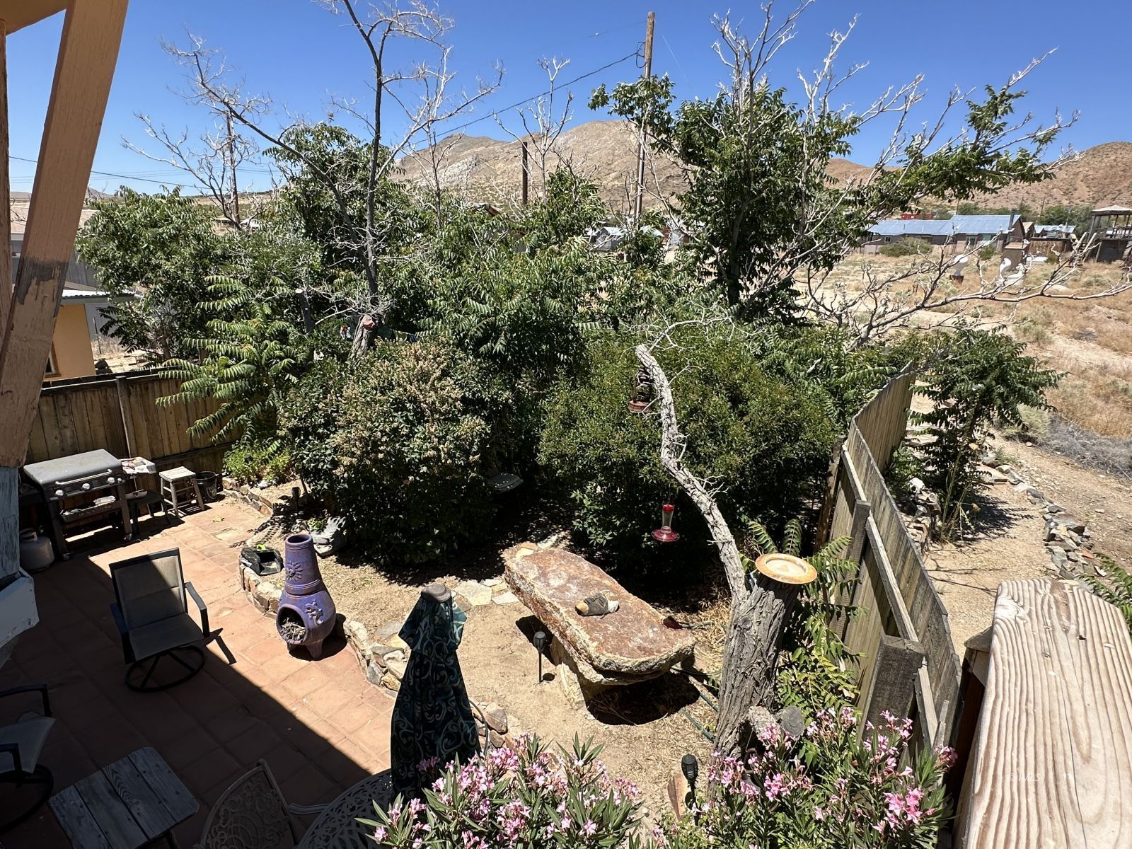 220 East Fulton Street Darwin, CA 93522 - Photo 26 of 34 a view of a backyard with chairs and potted plants