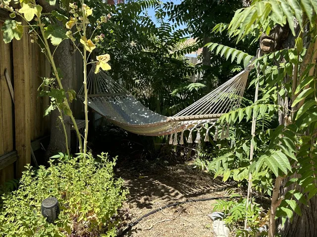 a view of a house with backyard