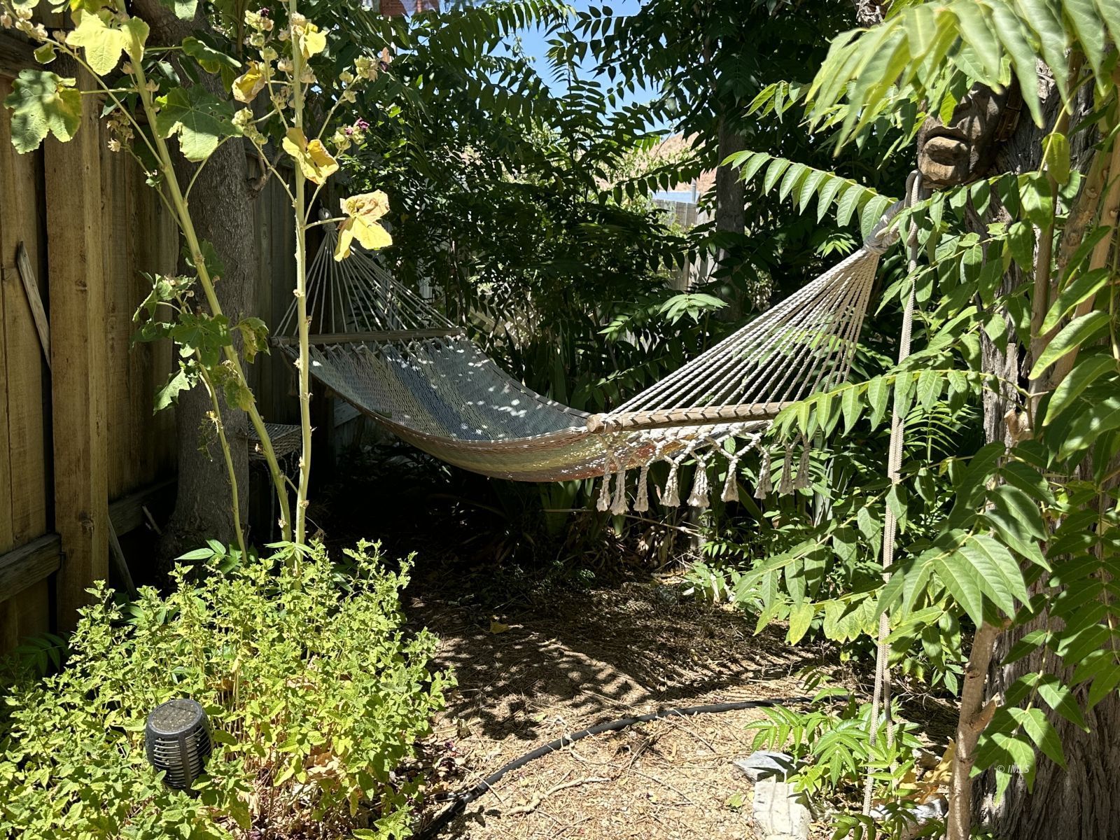 220 East Fulton Street Darwin, CA 93522 - Photo 30 of 34 a balcony with plants