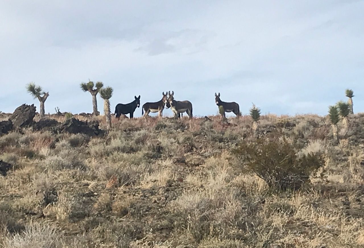 220 East Fulton Street Darwin, CA 93522 - Photo 34 of 34 a view of a field