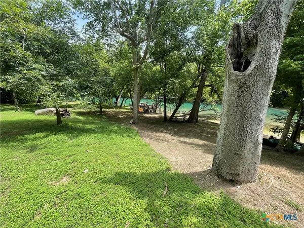 a view of a yard with a tree