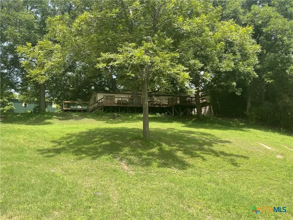a view of a yard with a tree