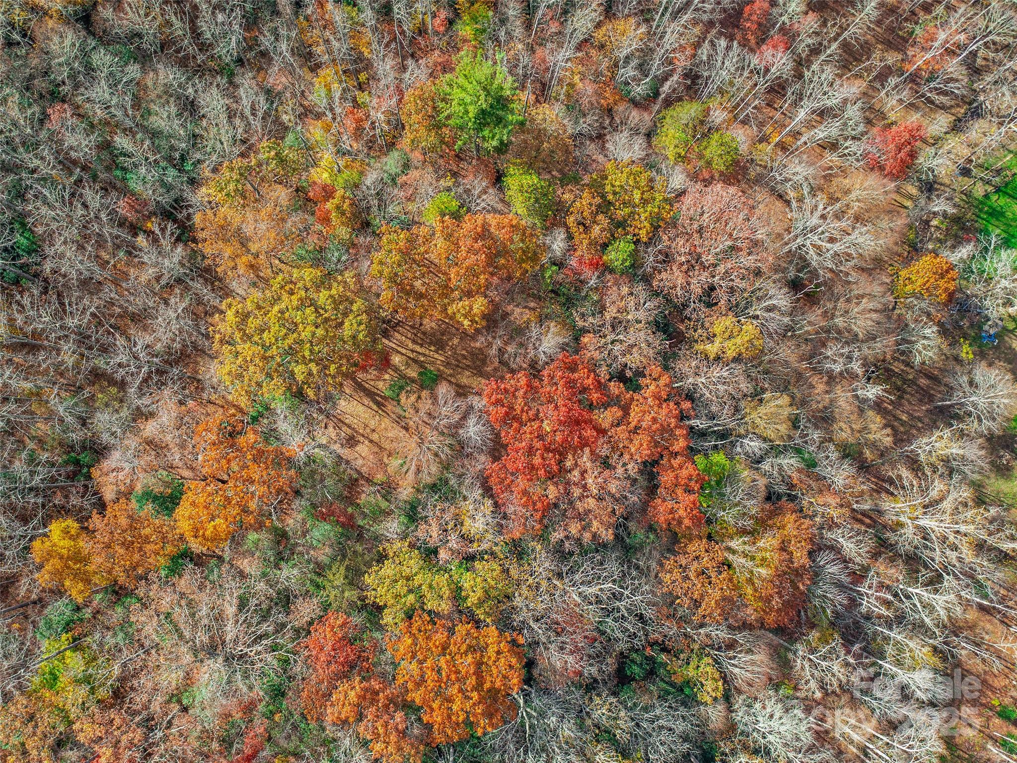 384 Flat Creek Road Fairview, NC 28730 - Photo 18 of 34