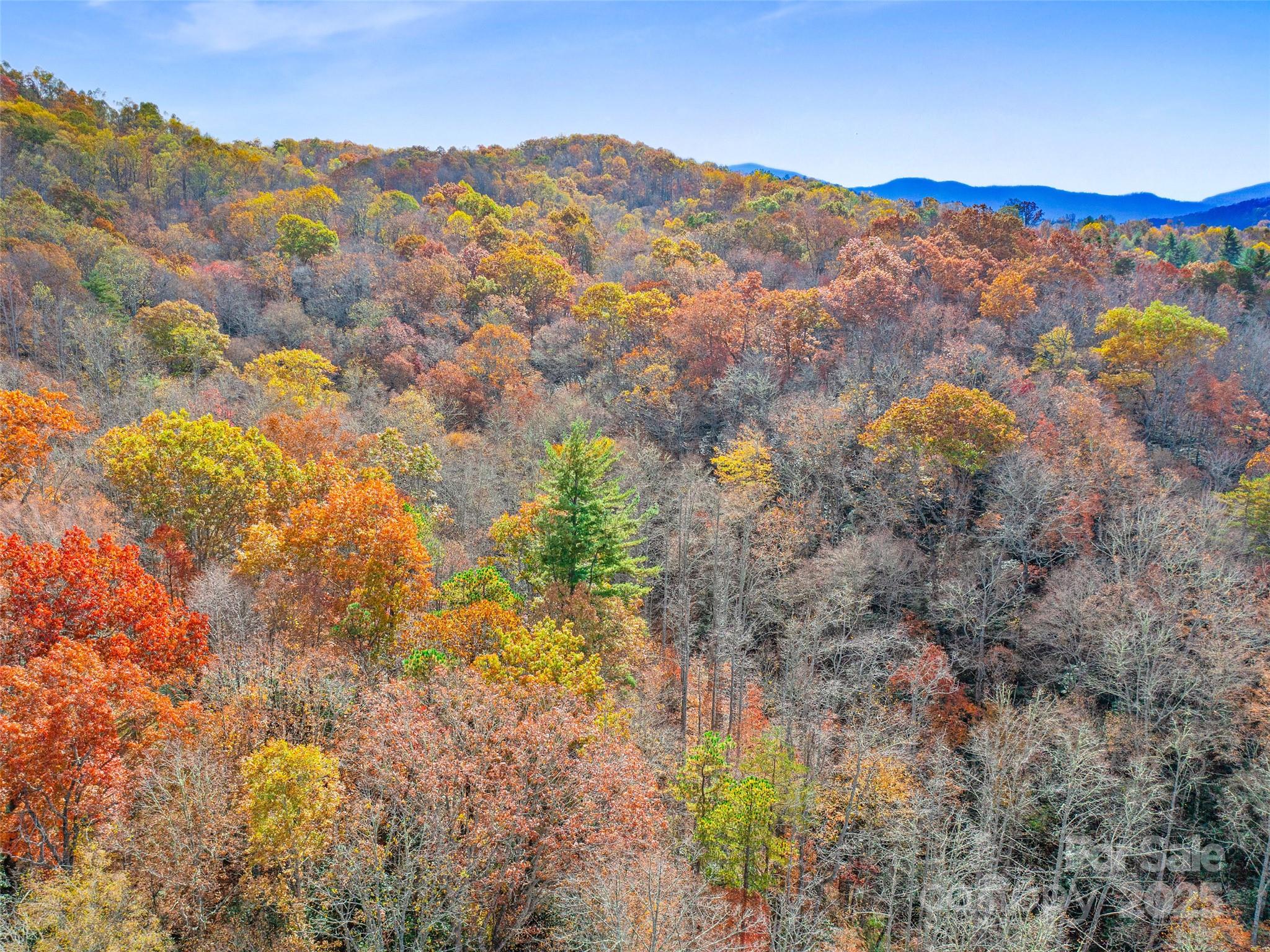 384 Flat Creek Road Fairview, NC 28730 - Photo 21 of 34
