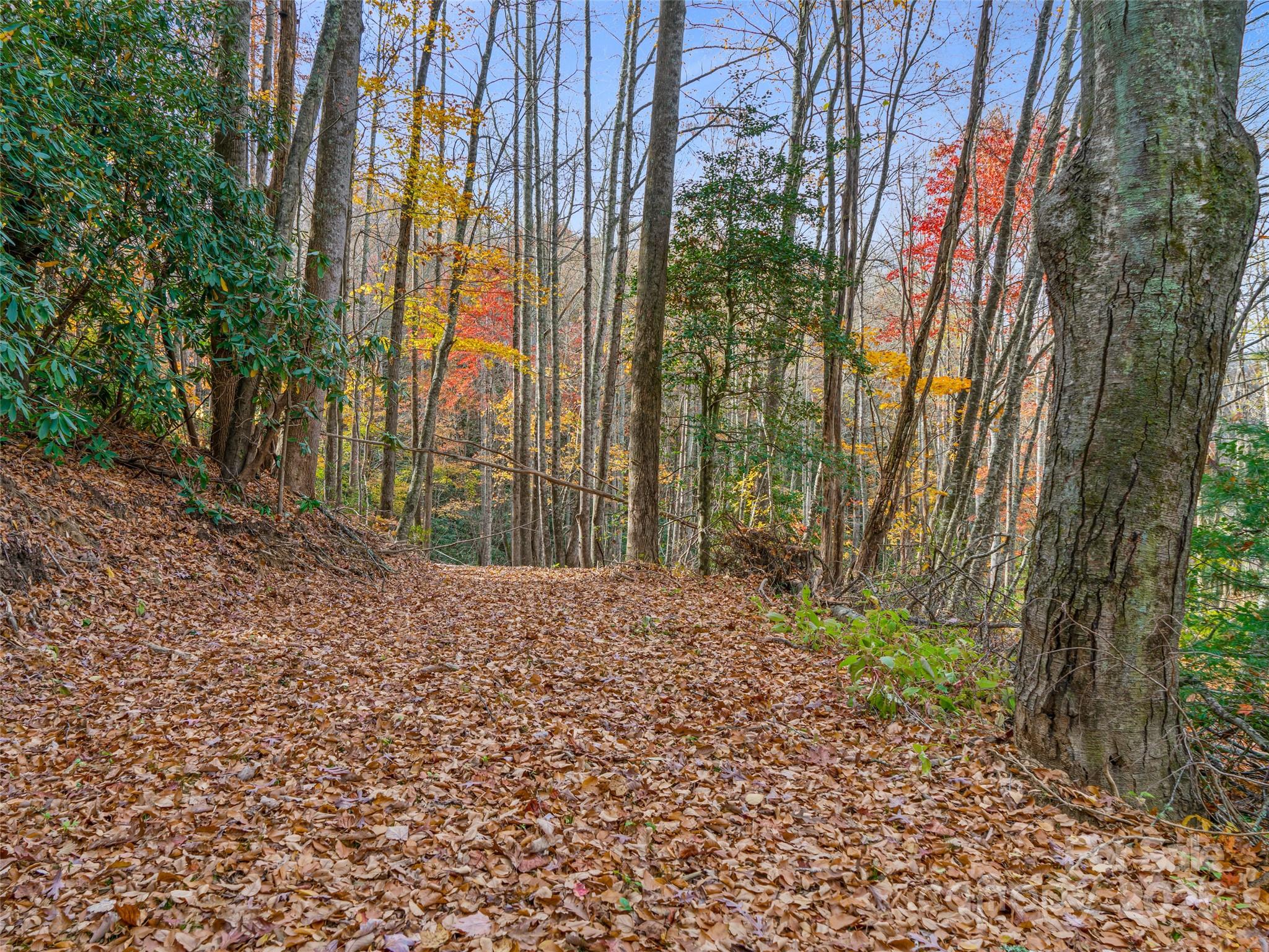 384 Flat Creek Road Fairview, NC 28730 - Photo 24 of 34