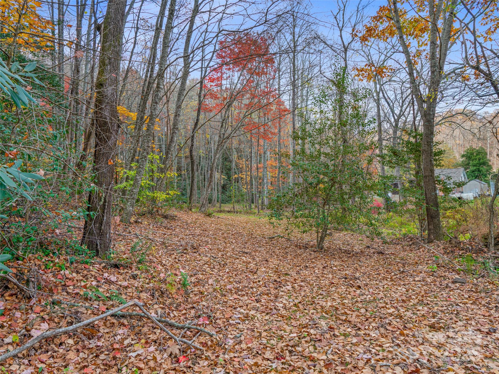 384 Flat Creek Road Fairview, NC 28730 - Photo 26 of 34