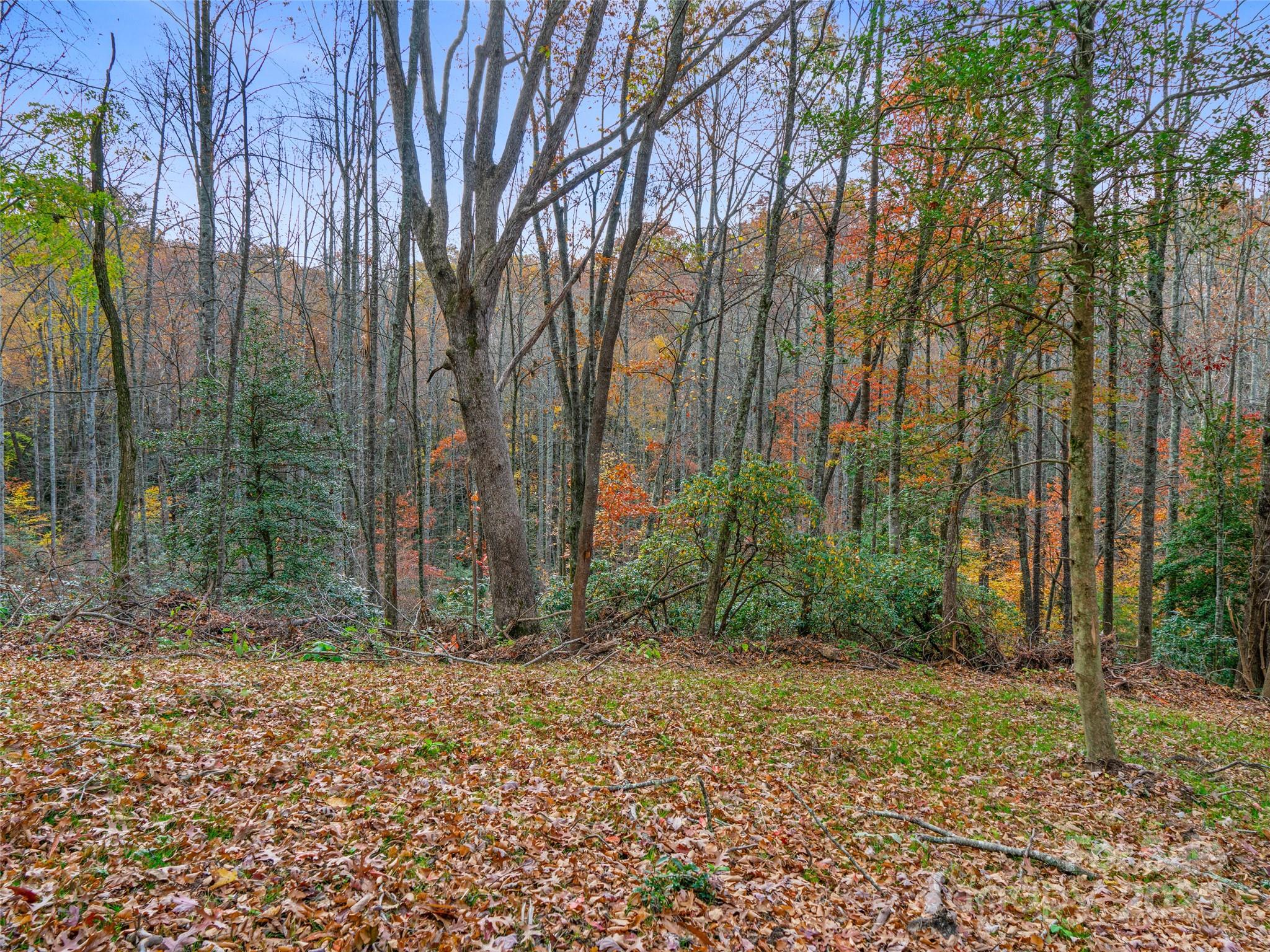 384 Flat Creek Road Fairview, NC 28730 - Photo 31 of 34