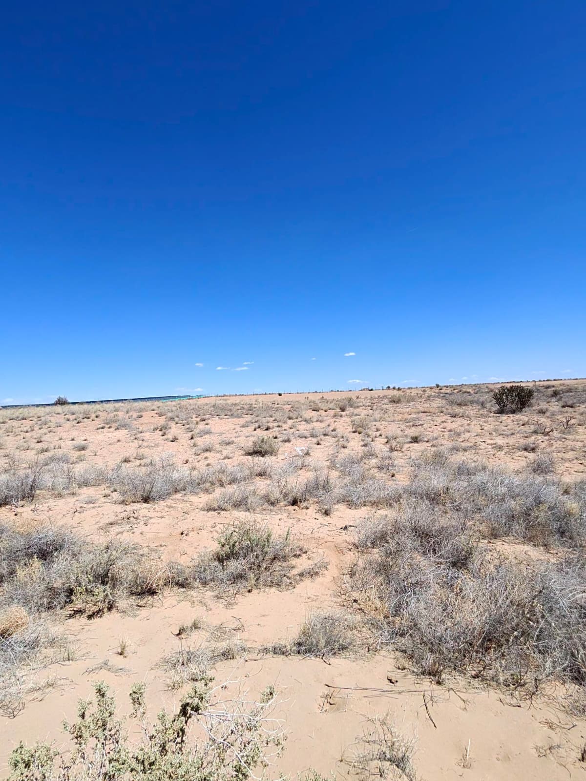 1002 38th Street Southwest Rio Rancho, NM 87124 - Photo 6 of 11