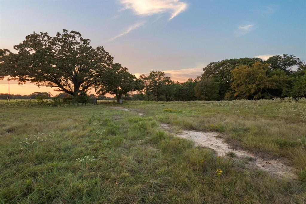 0 County Road 2615 Telephone, TX 75488 - Photo 13 of 23 a view of outdoor space with trees all around