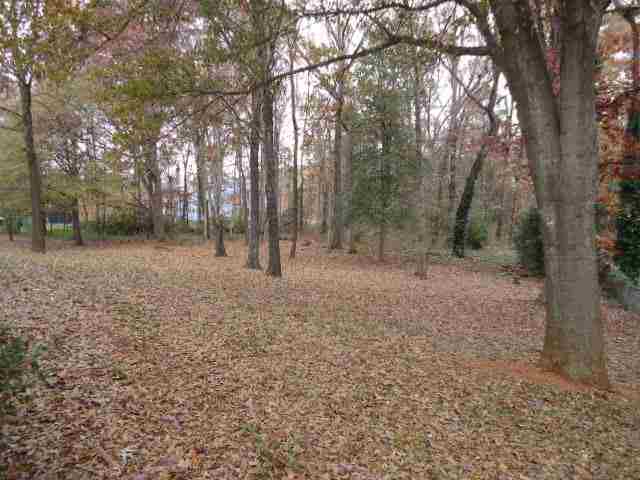 103 Wildmarsh Road Piedmont, SC 29673 - Photo 3 of 24 Gallery Image 3