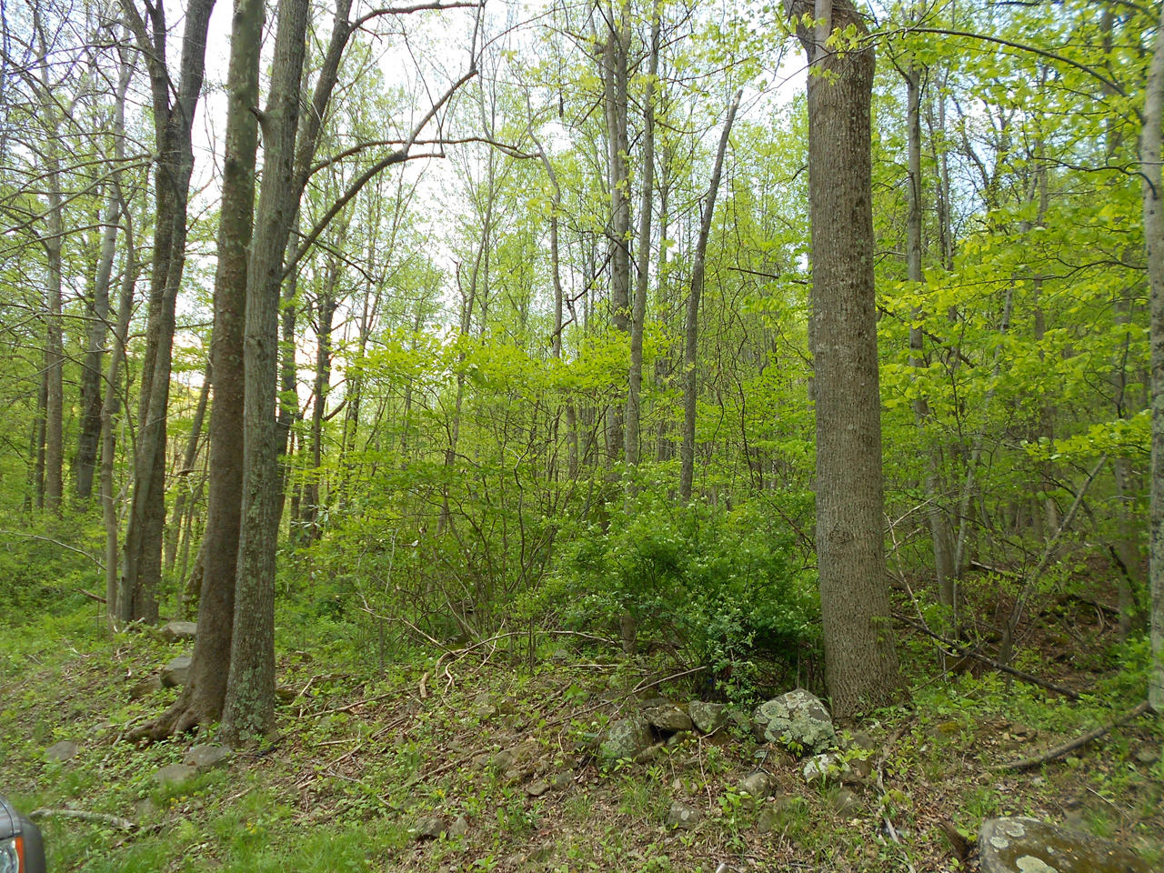17105 Callaway Road Callaway, VA 24067 - Photo 11 of 12 NichTbr1