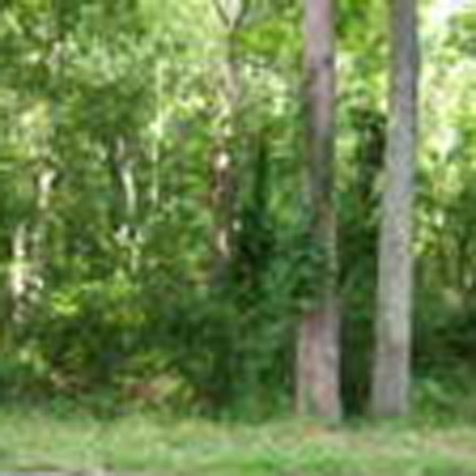 17105 Callaway Road Callaway, VA 24067 - Photo 10 of 12 NichTbr