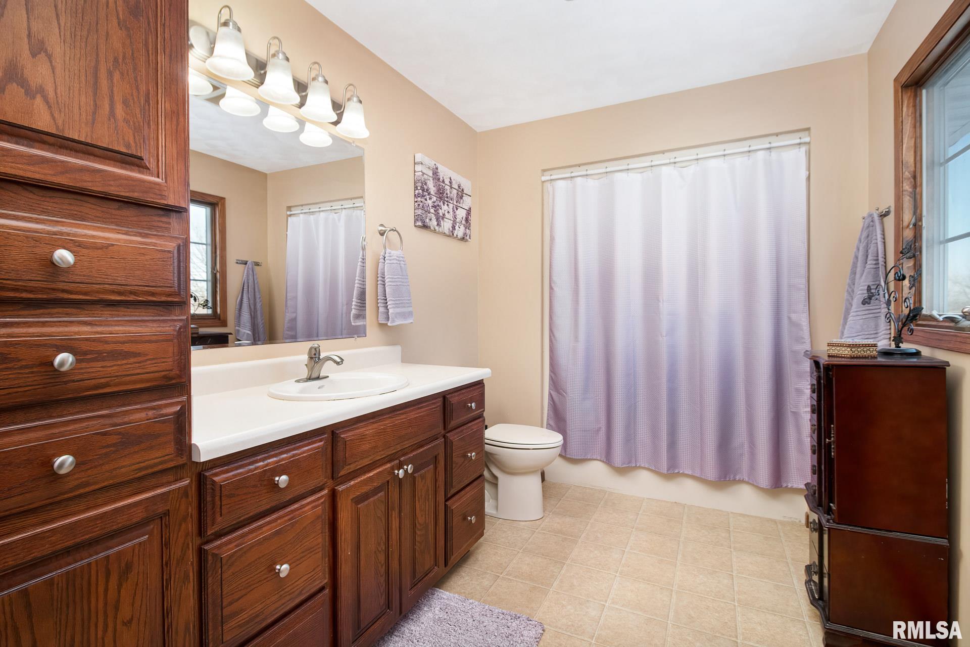14114 Coyne Center Road Milan, IL 61264 - Photo 17 of 35 Gallery Image 17