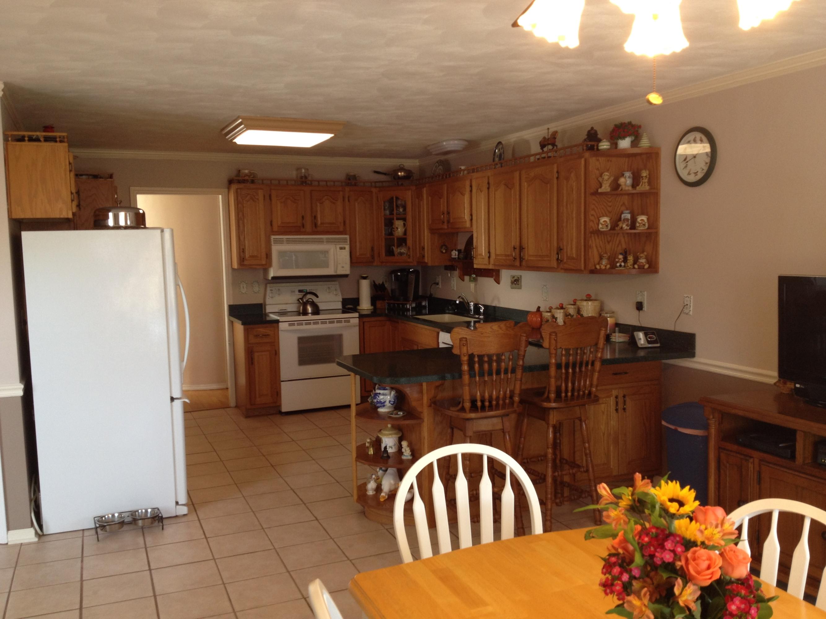 3316 Oak Ridge Road Fincastle, VA 24090 - Photo 22 of 29 Oak Ridge Kitchen4