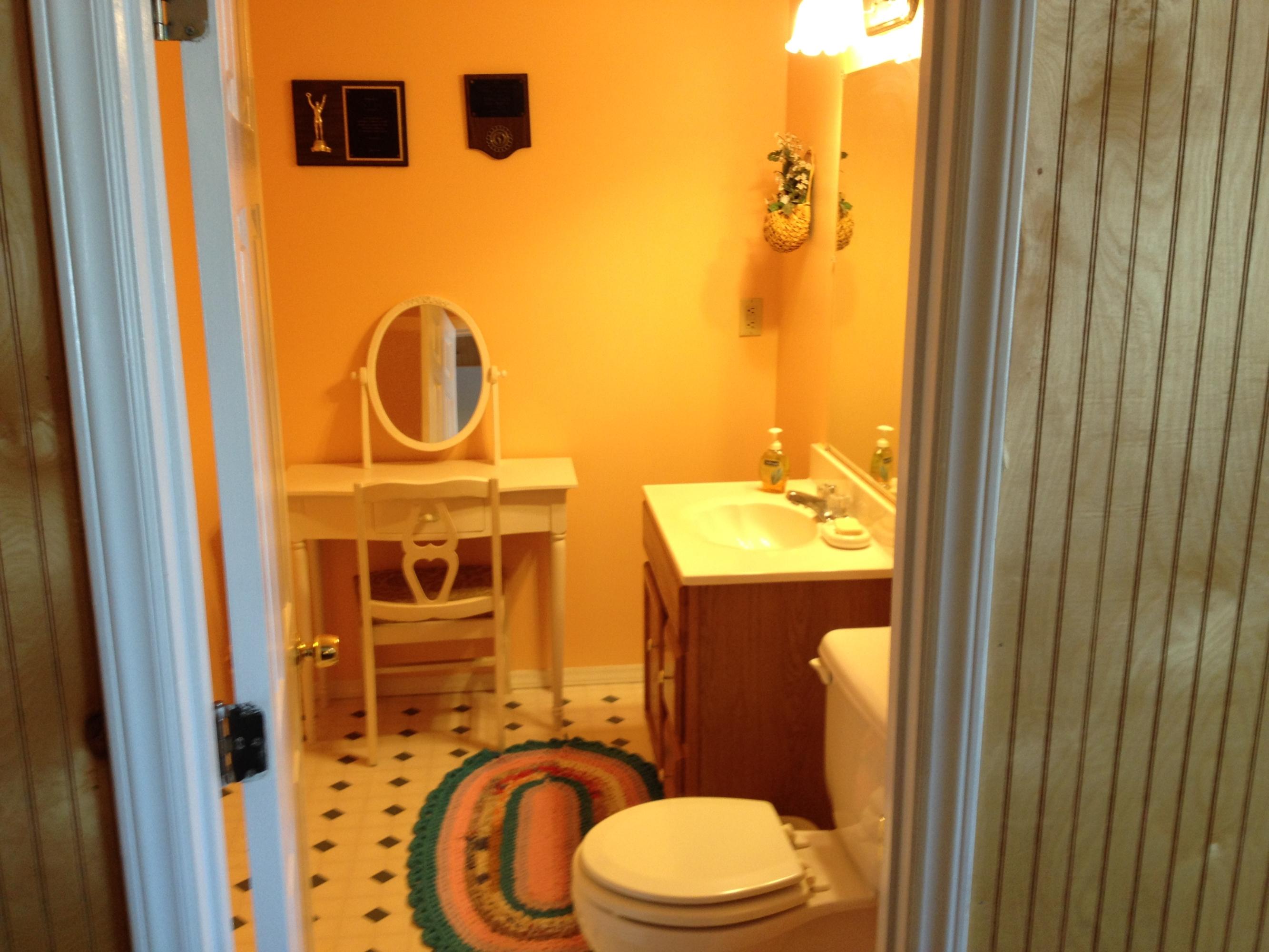 3316 Oak Ridge Road Fincastle, VA 24090 - Photo 27 of 29 Oak Ridge LL Half Bath