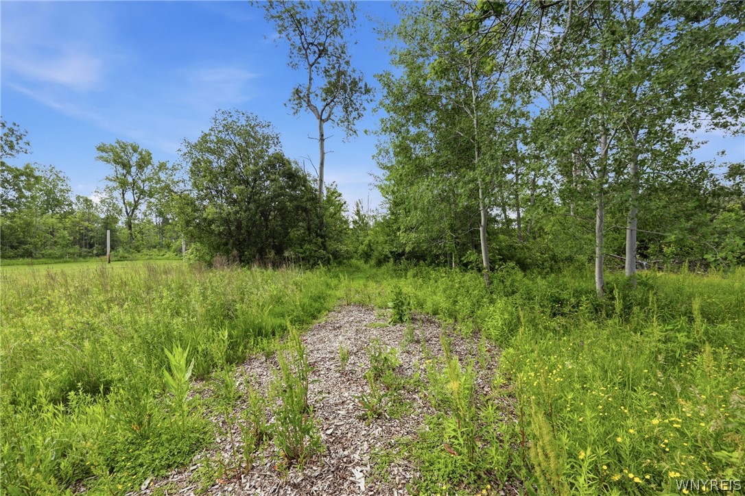 291 Westwood Road Lancaster, NY 14086 - Photo 44 of 45