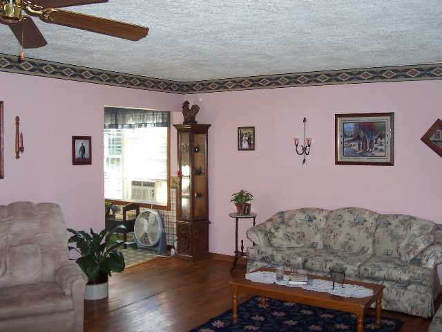 401 2nd Street Addison, MI 49220 - Photo 2 of 11 Photo 2