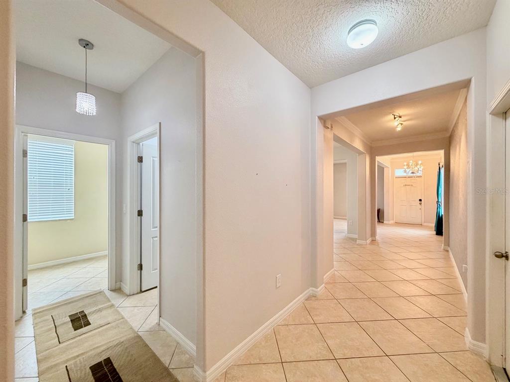 1185 Seburn Road Apopka, FL 32703 - Photo 19 of 44