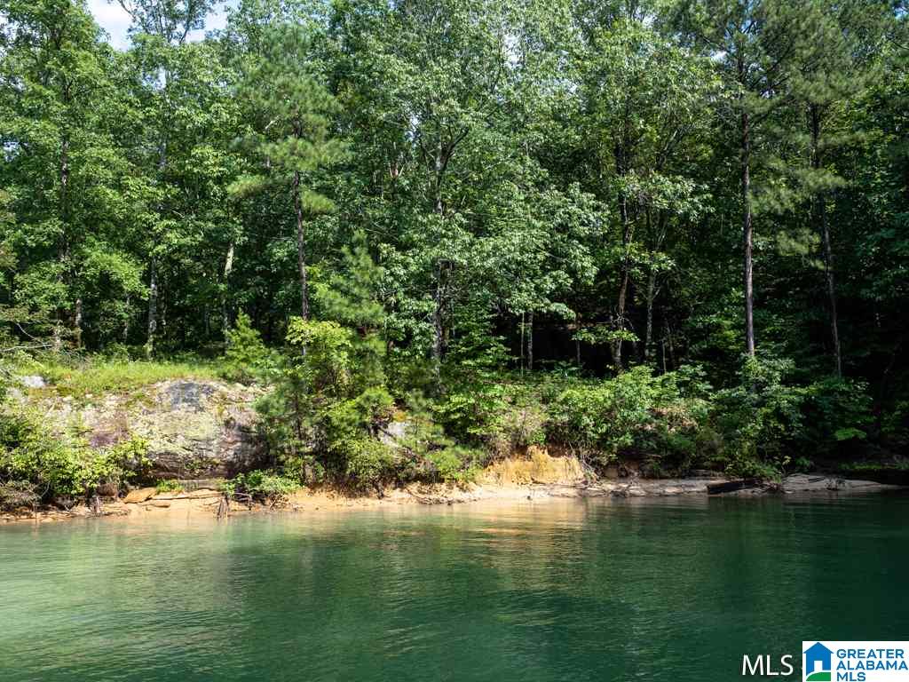 Long Leaf Road, Unit 9 Double Springs, AL 35553 - Photo 7 of 15