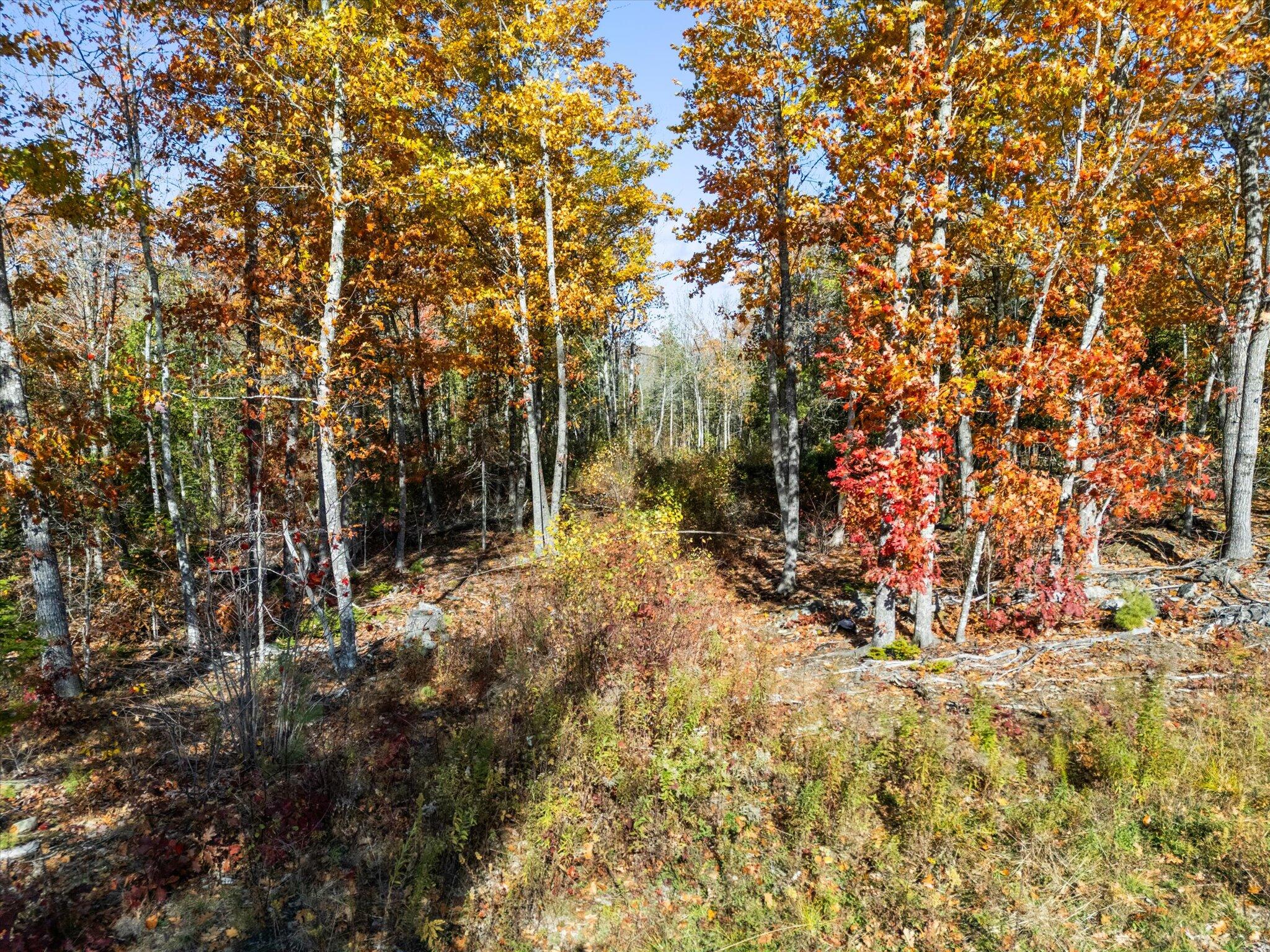 8 Page Road Etna, ME 04434 - Photo 8 of 19 Page Road, Etna