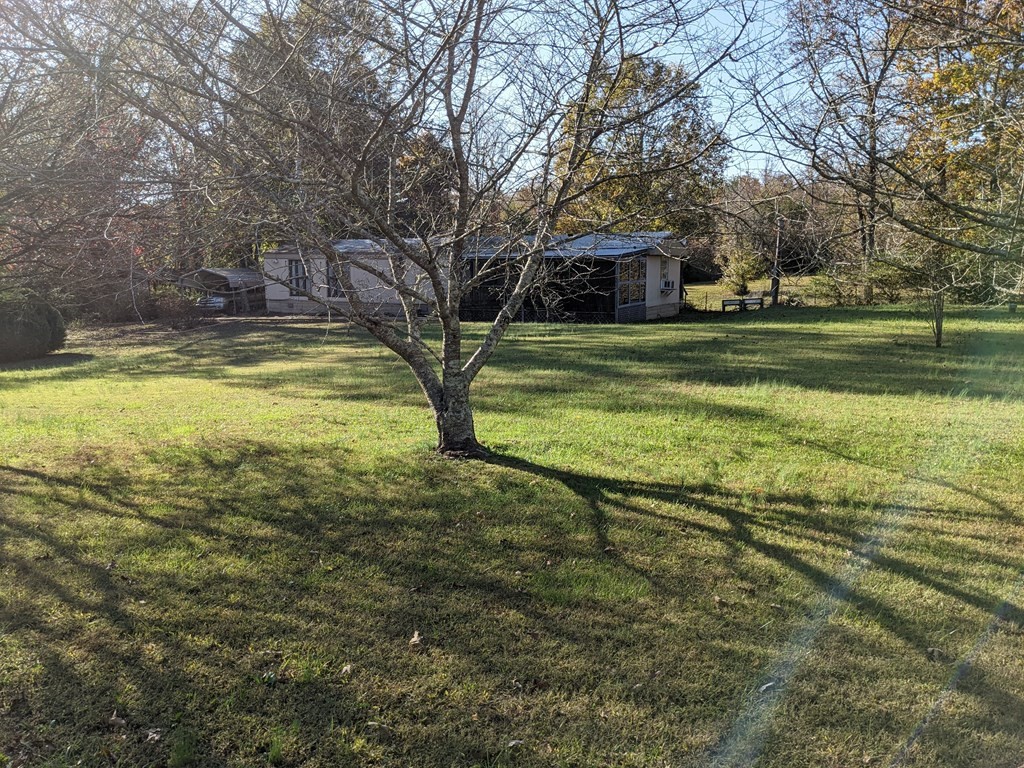 565 Groover Road Spring City, TN 37381 - Photo 19 of 33 Gallery Image 19