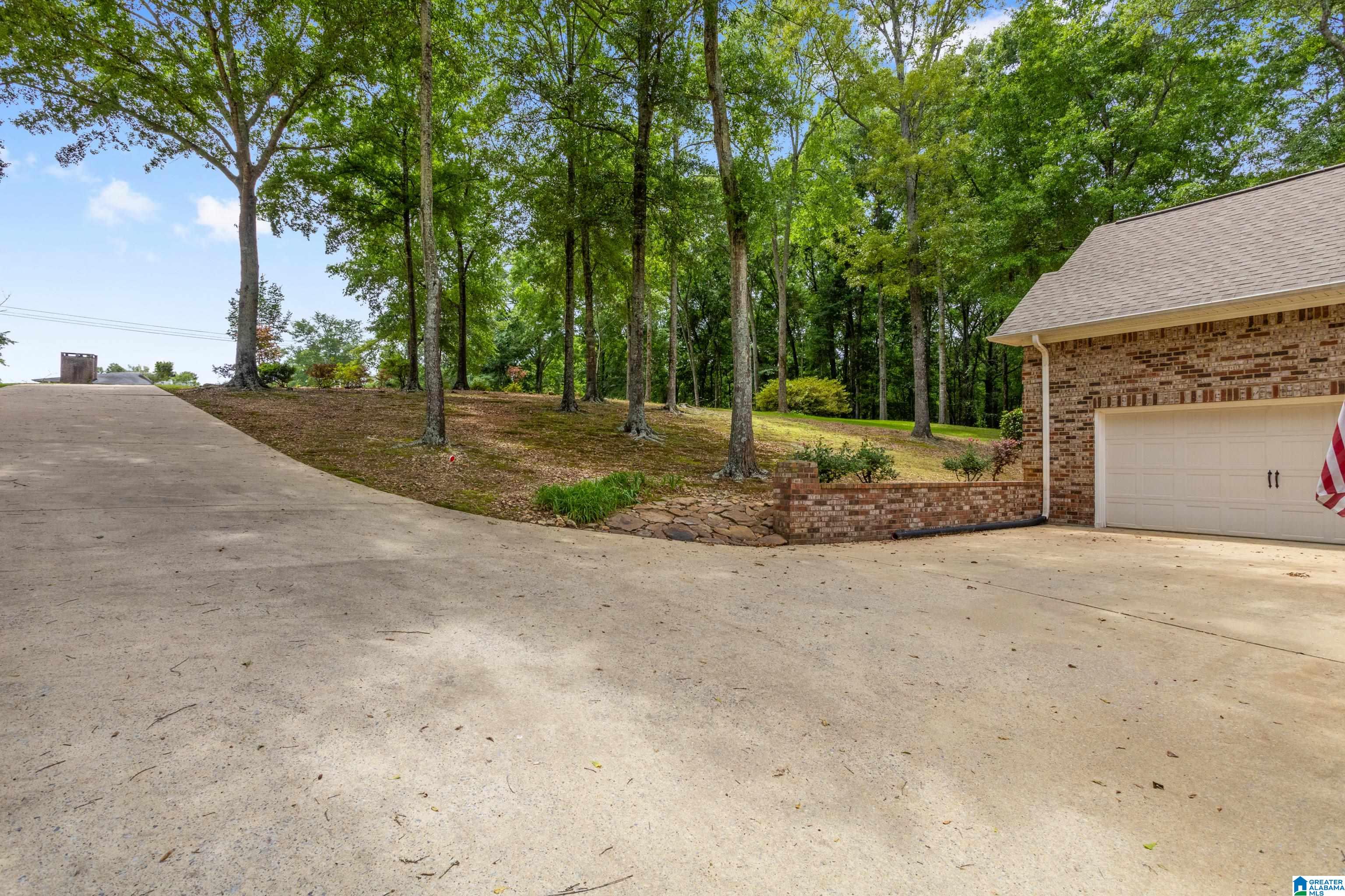 113 Harmons Island Road Cropwell, AL 35054 - Photo 39 of 61
