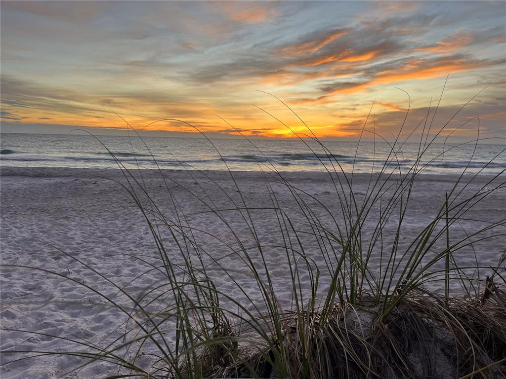 640 Fox Street Longboat Key, FL 34228 - Photo 53 of 55 Gallery Image 53