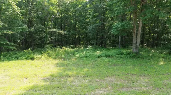 a view of yard with green space