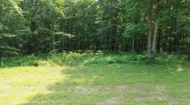 a view of yard with green space