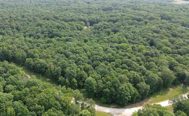 an aerial view of residential house with outdoor space and trees all around